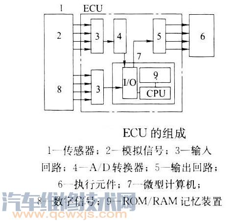 电子控制单元（ECU）由哪些部分组成？