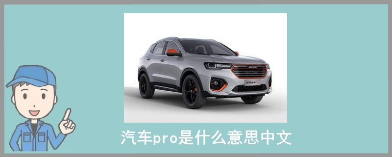 汽车pro是什么意思中文.jpg